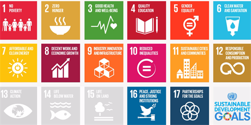 Sustainable Development Goals Sustainable Development Goals