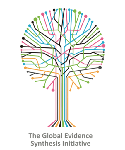 Global Evidence Synthesis Initiative